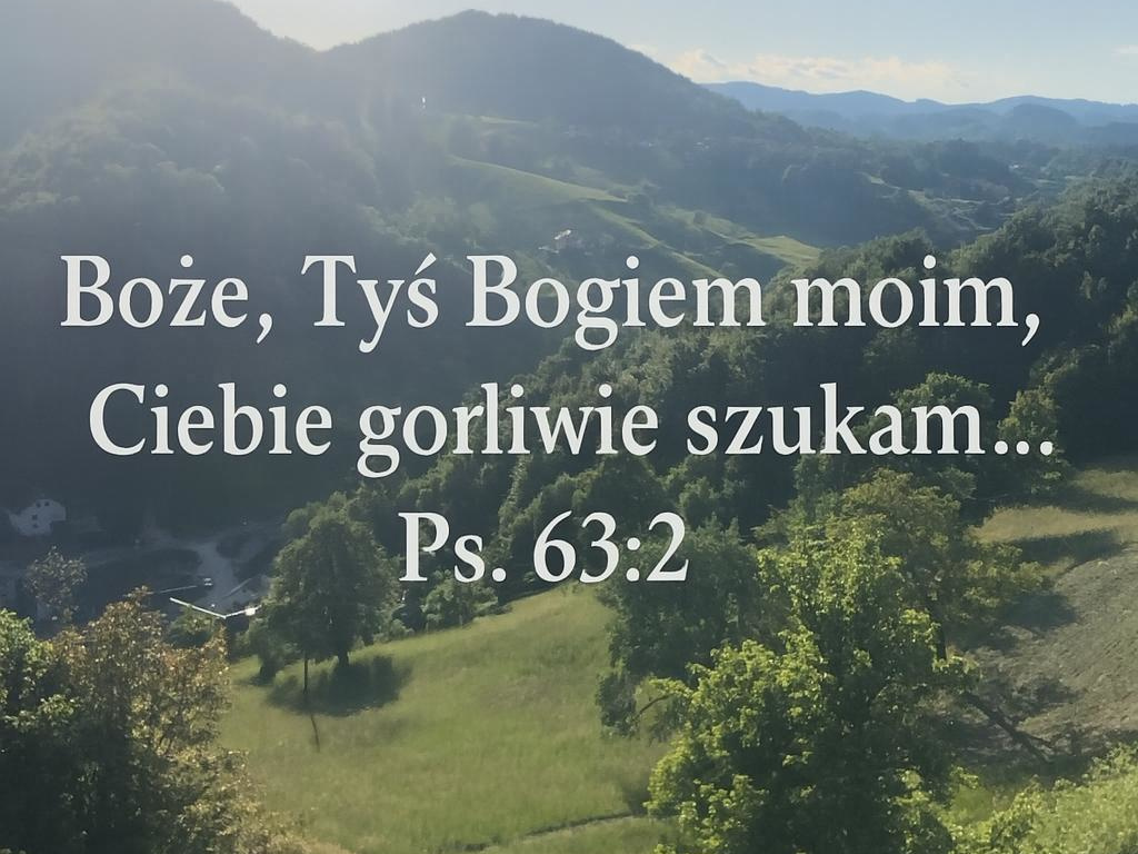 miniaturka artykułu